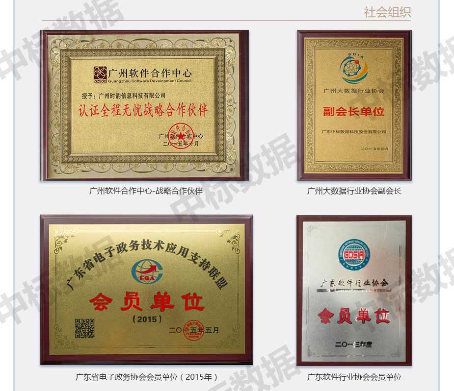 广东中标数据科技股份有限公司