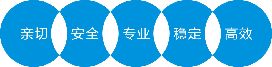 广东中标数据科技股份有限公司